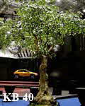 Groer, knstlicher Baum als Dekoration auf einem TV-Event