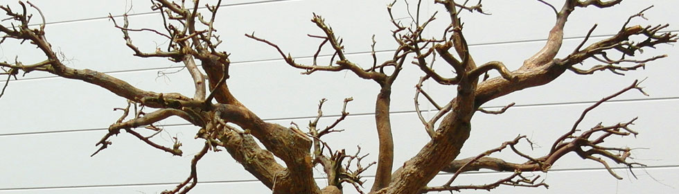 Ein unbelaubter knstlicher Baum (Detailaufnahme der Zweige)
