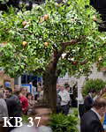 Großer, künstlicher Apfelbaum auf einer Schweizer Messe