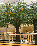 Künstliche Bäume (Orangenbäume) mit Früchten