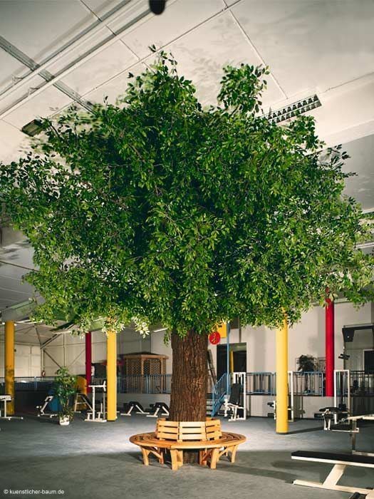 Großer Kunstbaum mit Bank in Fitnesscenter